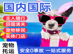 阿鲁科尔沁航空快运国际宠物托运 【国